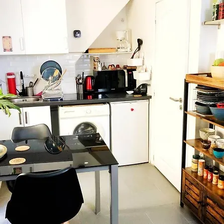 Zen Garden- Nice Flat For 2 Persons- Japanese Style-17th Paris